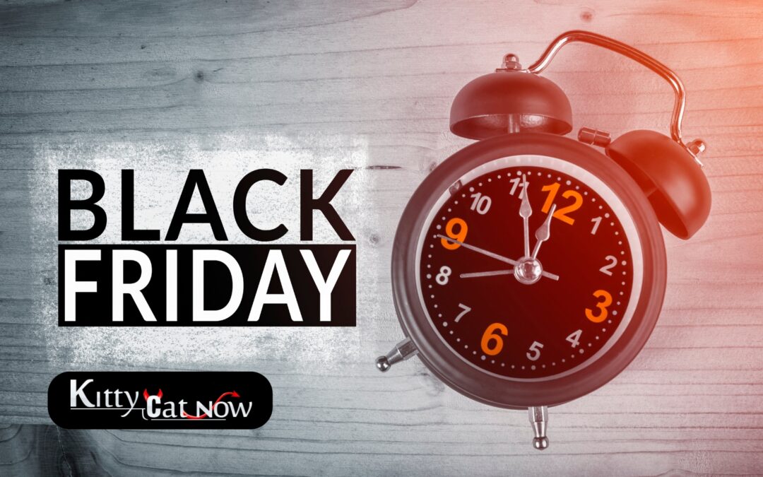 Black Friday Party Ideas: Celebrate Big with Exotic Dancers in Houston