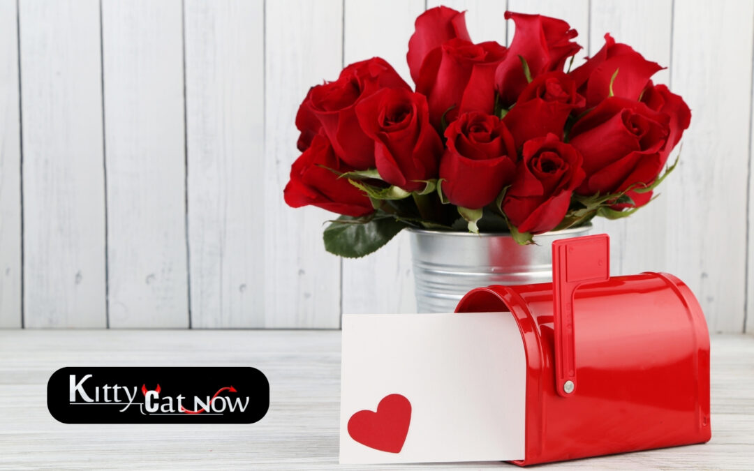 Heating V-Day Up: Exotic Dancers and Cupid’s Big Day