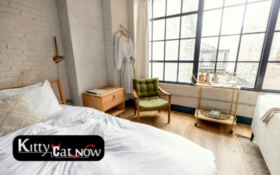 Planning a Private Airbnb Party with Strippers in Houston