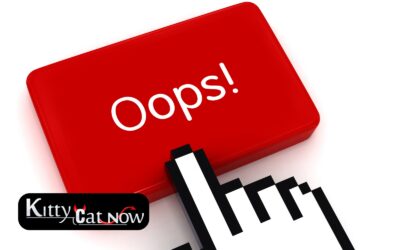 Top Mistakes to Avoid When Booking Strippers in Houston