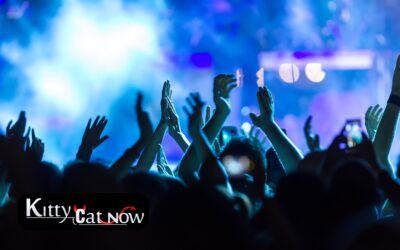 Why Booking Strippers from an Agency Is Safer Than Independents in Houston