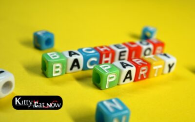 Bachelor Party House Rules in Houston: Set the Right Vibe Before the Entertainment Arrives