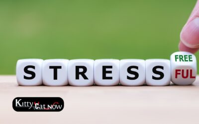 Hosting Private Party Entertainment at Home in Houston: A Stress-Free Guide