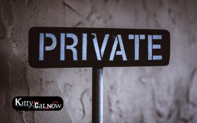 Why Private Party Entertainment Beats the Club Scene in Houston