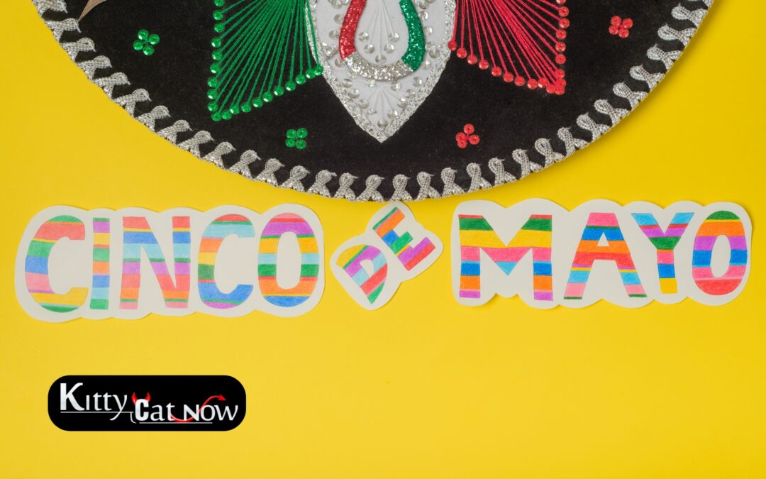 Cinco de Mayo Party Ideas in Houston: Tacos, Tequila & Private Strippers