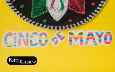 Cinco de Mayo Party Ideas in Houston: Tacos, Tequila & Private Strippers