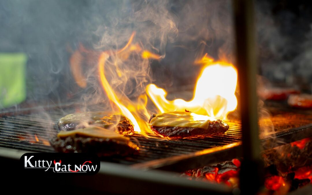 Memorial Day Party Ideas in Houston: BBQ, Private Entertainment & VIP Vibes