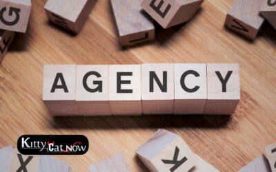 How to Choose a Legit Stripper Agency in Houston