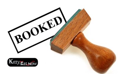 When to Book Strippers in Houston (Peak Times)