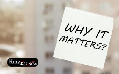 Why Booking Strippers in Houston in Advance Matters