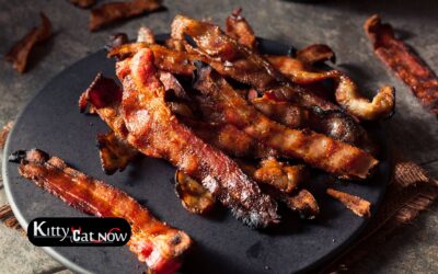 Boobs & Bacon in Houston: The Ultimate Sunday Morning Bachelor Party Experience