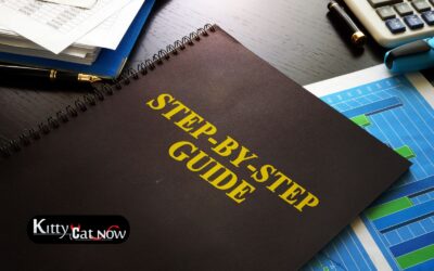 Planning a Houston Bachelor Party Weekend: A Step-by-Step Timeline
