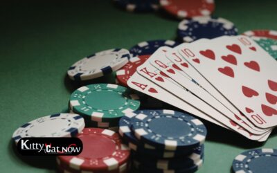 Poker Night Upgrade: Private Entertainment for Your Houston Home Game