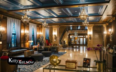 Hotel Suite vs. House Rental: Where to Host Your Houston Bachelor Party